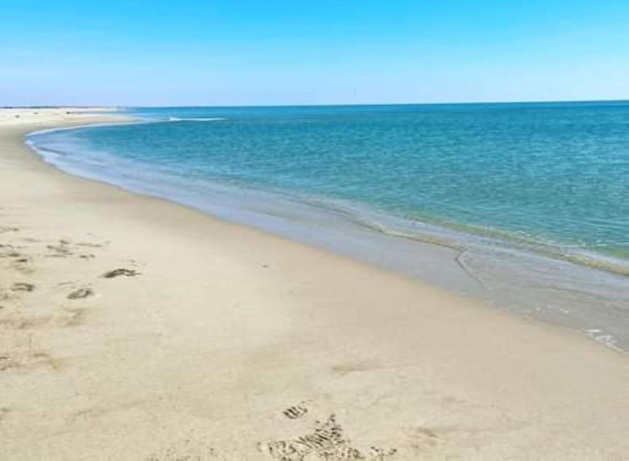 les terrasses de la mer Saint-Pierre-la-Mer  Eksteriør bilde